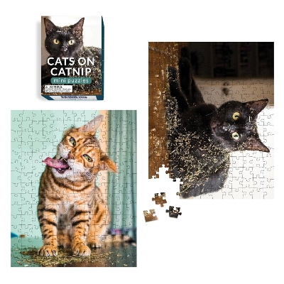 Cats on Catnip Mini Puzzles book