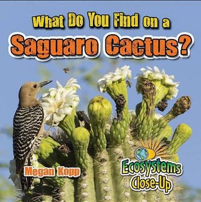 What Do You Find on a Saguaro Cactus? book