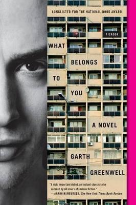 What Belongs to You book