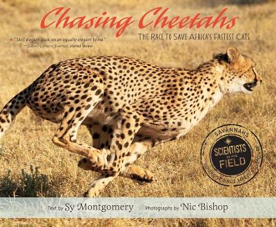 Chasing Cheetahs book
