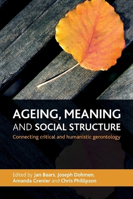 Ageing, meaning and social structure by Jan Baars