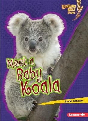 Meet a Baby Koala by Jon M. Fishman