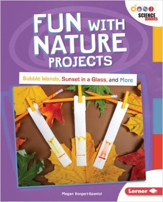 Fun with Nature Projects: Bubble Wands, Sunset in a Glass, and More book