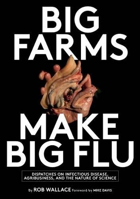 Big Farms Make Big Flu book