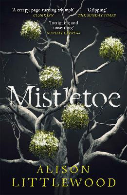 Mistletoe: 'The perfect read for frosty nights' HEAT by Alison Littlewood