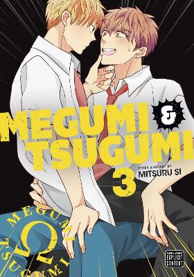 Megumi & Tsugumi, Vol. 3 book