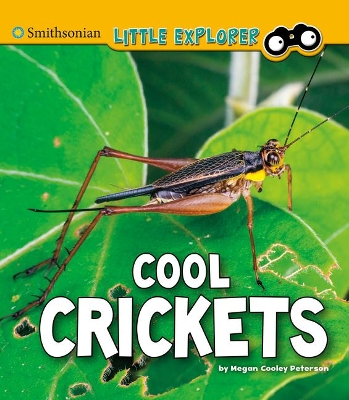 Cool Crickets book