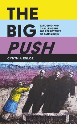 Big Push book