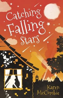 Catching Falling Stars book