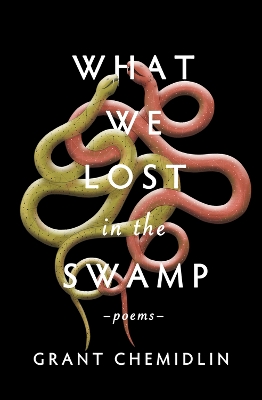 What We Lost in the Swamp: Poems book