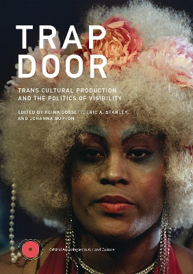 Trap Door: Trans Cultural Production and the Politics of Visibility  book