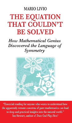 Equation That Couldn't be Solved book