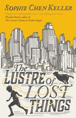 Lustre of Lost Things book