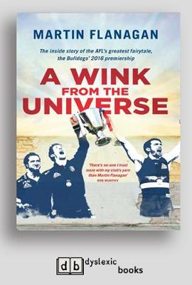 A A Wink From the Universe by Martin Flanagan
