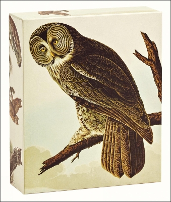 Audubon Owls QuickNotes book