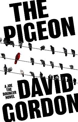 The Pigeon book