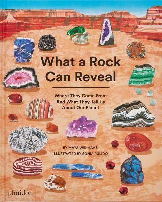 What a Rock Can Reveal: Where They Come From And What They Tell Us About Our Planet book