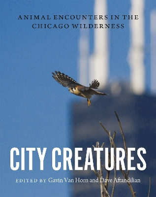 City Creatures book