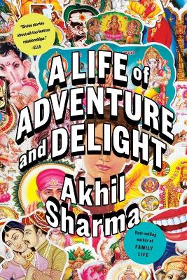 Life of Adventure and Delight by Akhil Sharma