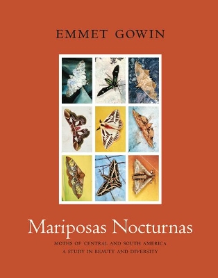 Mariposas Nocturnas book