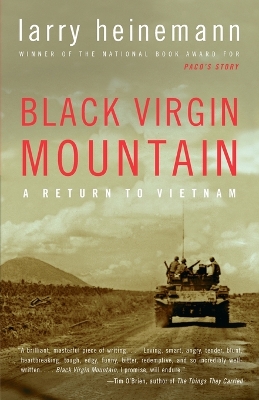Black Virgin Mountain book