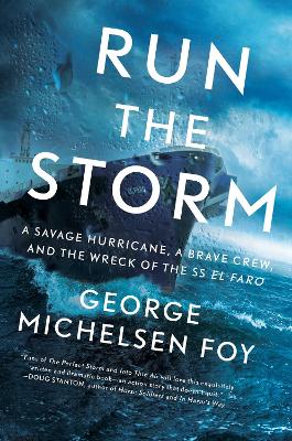 Run the Storm by George Michelsen Foy