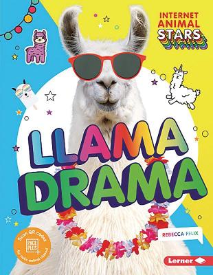 Llama Drama book