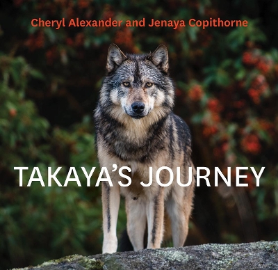 Takaya's Journey book