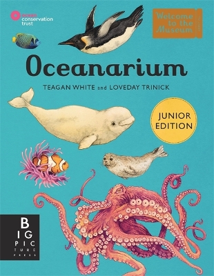 Oceanarium (Junior Edition) book