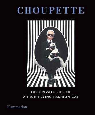 Choupette: The Private Life of a High-Flying Cat book