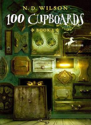 100 Cupboards book