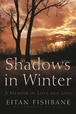 Shadows in Winter book