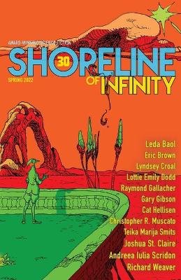 Shoreline of Infinity 30: Science Fiction Magazine book