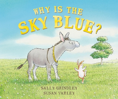 Why Is The Sky Blue? book