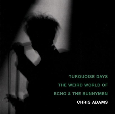 Turquoise Days book