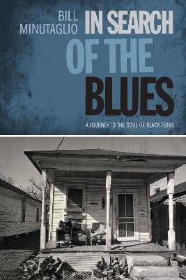 In Search of the Blues book