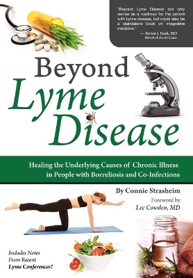 Beyond Lyme Disease: Healing the Underlying Causes of Chronic Illness in People with Borreliosis and Co-Infections book