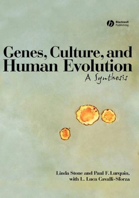 Genes, Culture, and Human Evolution by Linda Stone