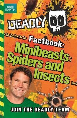 Minibeasts, Spiders and Insects book