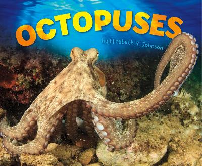 Octopuses by Elizabeth R Johnson