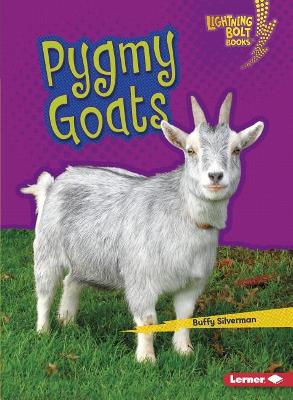 Pygmy Goats book