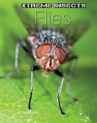 Flies book