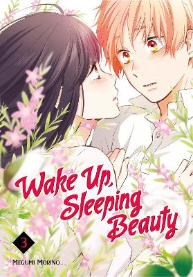 Wake Up, Sleeping Beauty 3 book