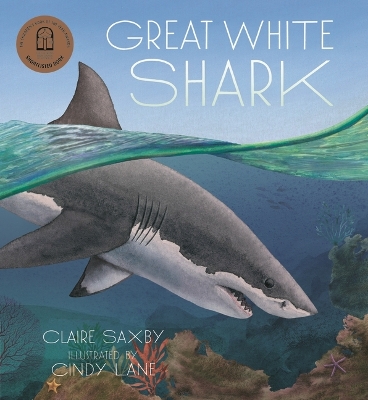 Great White Shark by Claire Saxby