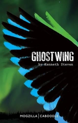 Ghostwing book