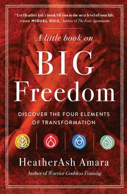 A Little Book on Big Freedom: Discover the Four Elements of Transformation book