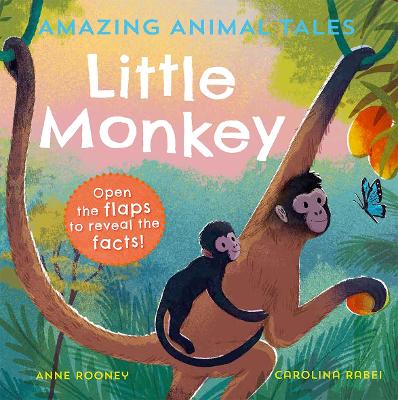 Amazing Animal Tales: Little Monkey book