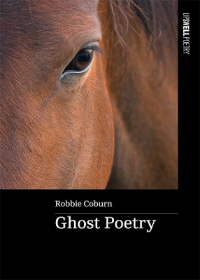 Ghost Poetry book