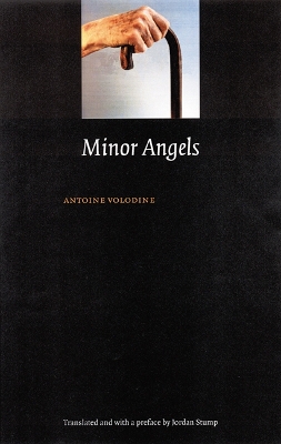 Minor Angels book