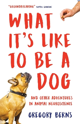 What It's Like to Be a Dog: And Other Adventures in Animal Neuroscience by Gregory Berns